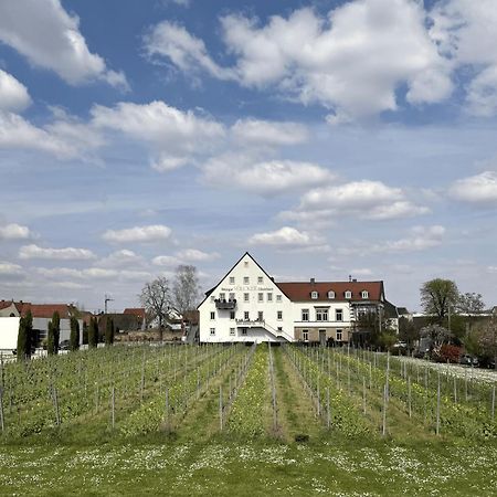 Weinzeit13 Apartment Neustadt an der Weinstrasse Ngoại thất bức ảnh