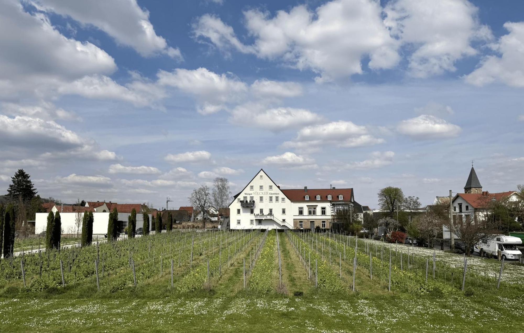 Weinzeit13 Apartment Neustadt an der Weinstrasse Ngoại thất bức ảnh